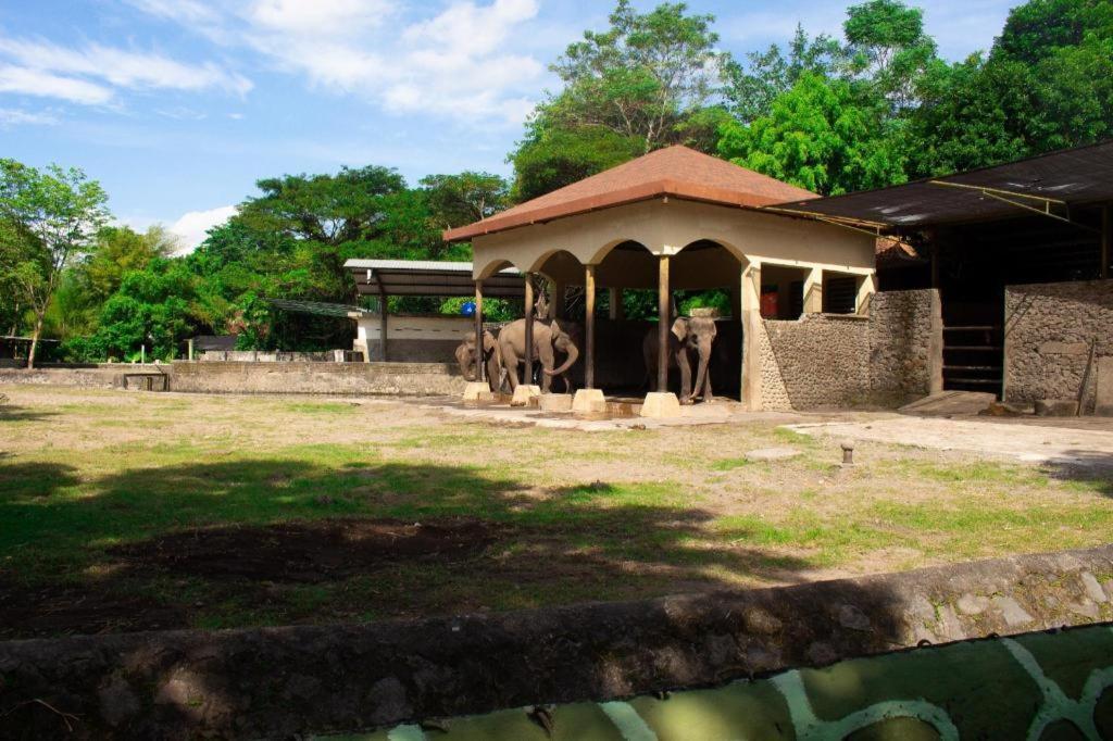 Ceria Boutique Hotel Maguwo Esterno foto